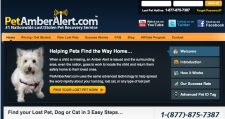 PetAmberAlert Website Impression Above the Fold