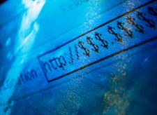 Should you register your veterinary business website with the new .vet domain?