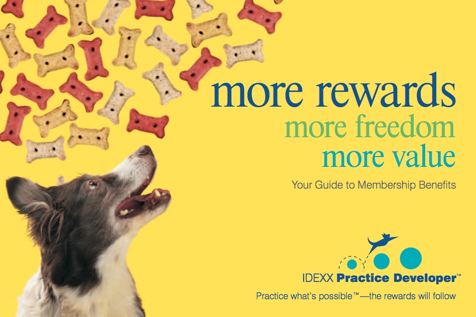 IDEXX Practice Developer mailer written by Pam Foster