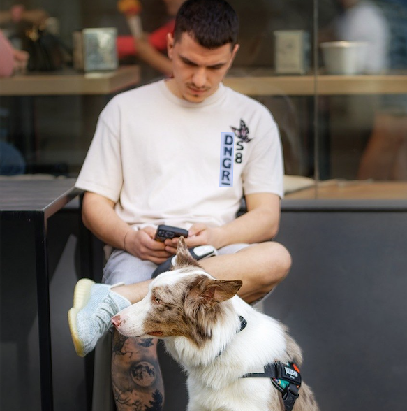 Pet owners look at product websites for information