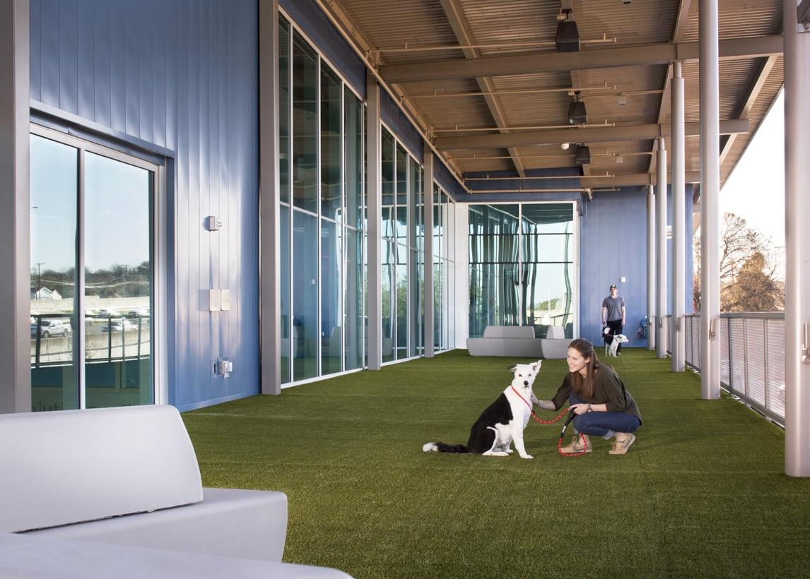 Animal Arts designs pet-friendly workspaces, such as this safe outdoor play/relief area