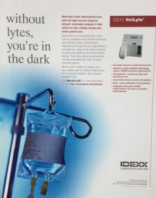 Pam Foster work on IDEXX VetLyte B2B ad